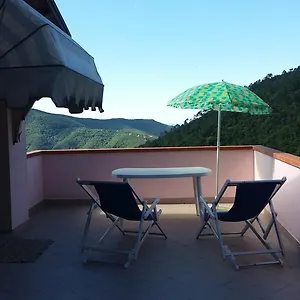 Olivella Caminata N 41d Casarza Ligure
